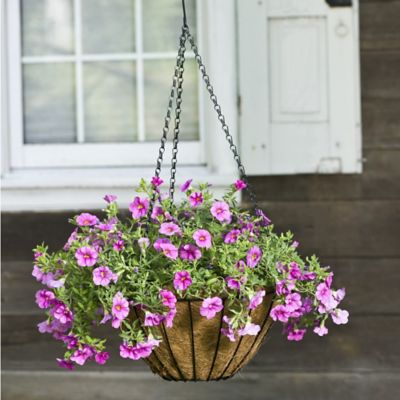 Image showing  10 lb. Metal Hanging Grower's Plant Basket, 14 in., Black