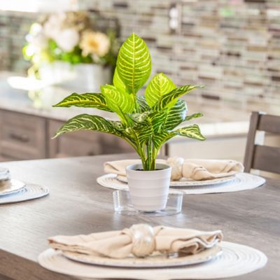 Image showing  Vinyl Plant Saucer, 6 in.