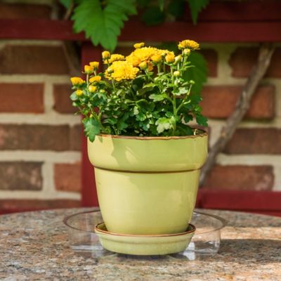 Image showing  Vinyl Plant Saucer, 6 in.