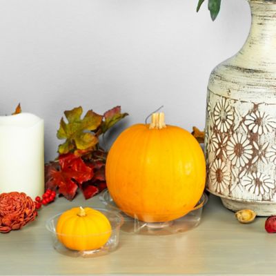 Image showing 5 th Gardener's Blue Ribbon Vinyl Plant Saucer, 6 in.