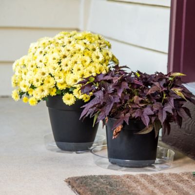 Image showing  Vinyl Plant Saucer, 8 in.