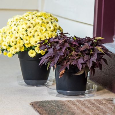 Image showing  Vinyl Plant Saucer, 10 in.