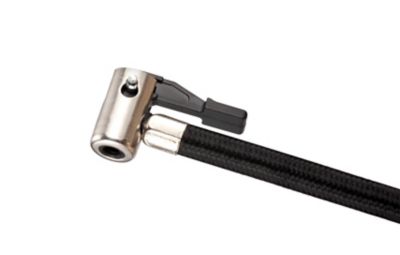 Image showing  3 ft. Carry Tank Hose with Chuck