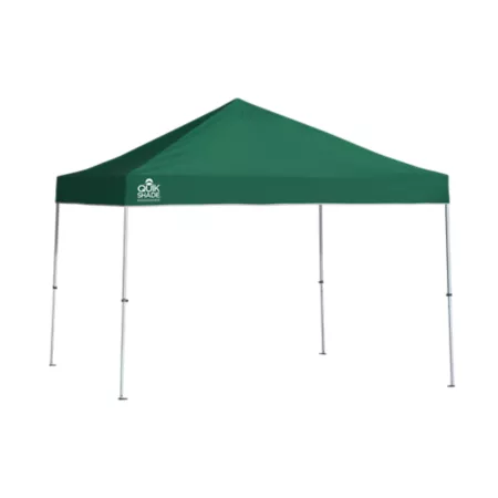 Quik Shade Weekender Elite Straight Leg Retractable Awning 10 ft x 10 ft Green Canopies