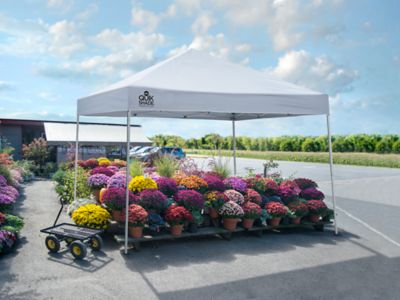 Image showing  10 ft. x 10 ft. Market Place MP100 Straight Leg Pop-Up Canopy