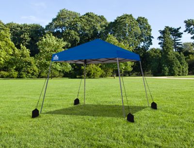 Image showing  Canopy Weight Bags, 4-Pack