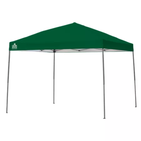 Quik Shade Expedition Straight Leg Retractable Awning 10 ft x 10 ft Green Canopies