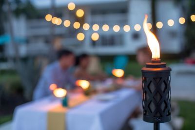 Image showing  65 in. BiteFighter Fuel Outdoor Urban Metal Torch, Bronze