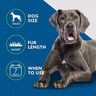 Image showing  Short Hair Dog Undercoat Deshedding Tool, Large