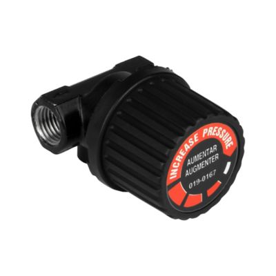 Image showing  1/4 in. Pressure Regulator