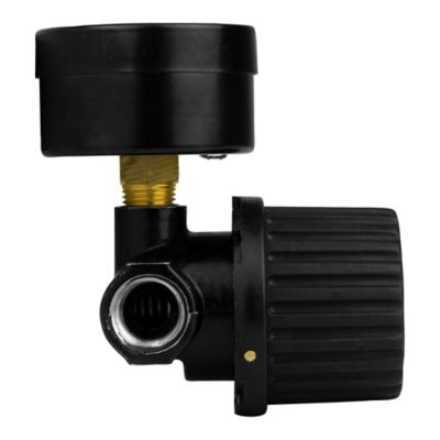 Image showing  1/4 in. Air Regulator with Pressure Gauge