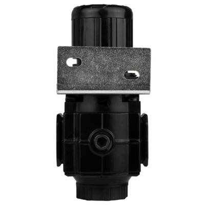 Image showing  1/4 in. NPT Regulator with Gauge