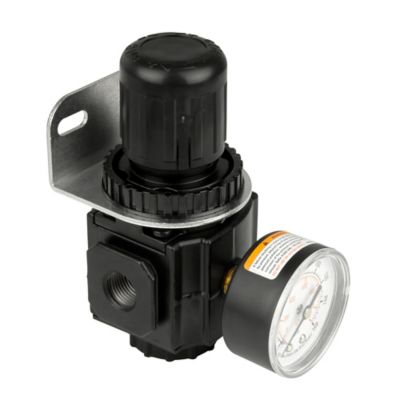 Image showing  3/8 in. NPT Air Regulator with Pressure Gauge