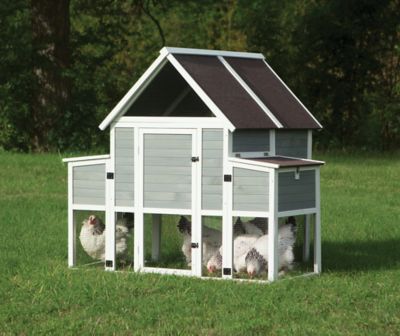 Diy Folding Chicken Roost