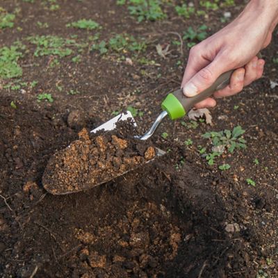 Image showing  Stainless Steel Gel Grip Trowel
