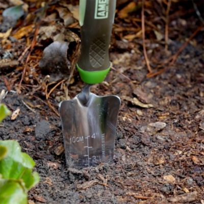 Image showing  Stainless Steel Gel Grip Transplanter Hand Tool