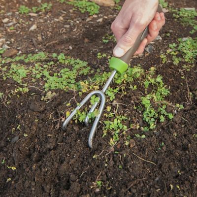 Image showing  Stainless Steel Gel Grip Hand Cultivator
