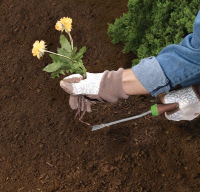 Image showing  Stainless Steel Gel Grip Hand Weeder