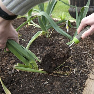 Image showing 5 th Ames 13 in. Ergo Gel Grip Hand Soil Scoop