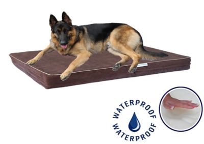 Go Pet Club Solid Memory Foam Orthopedic Mattress Dog Bed with Waterproof Cover, BB-25