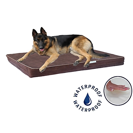 Go Pet Club Solid Memory Foam Orthopedic Mattress Dog Bed with Waterproof Cover, BB-44