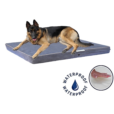 Go Pet Club Solid Memory Foam Orthopedic Mattress Dog Bed with Waterproof Cover, BB-36