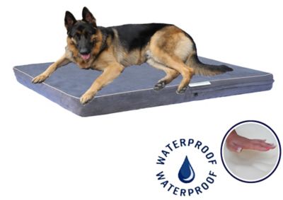 Go Pet Club Solid Memory Foam Orthopedic Mattress Dog Bed with Waterproof Cover, BB-55
