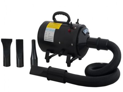 dog hair dryer pets at home