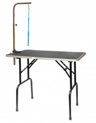 Go Pet Club 36 in. Pet Grooming Table with Arm, Black