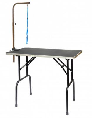 Go Pet Club 42 in. Pet Grooming Table with Arm