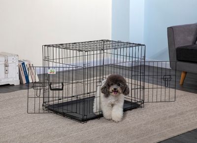 Go Pet Club 2-Door Metal Dog Crate with Divider, 30 in. The metal is a little thinner then what you would get if you spent more money on a kennel