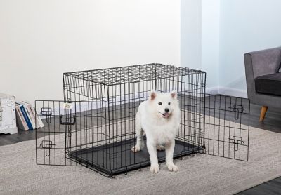 Dog store crate 36in