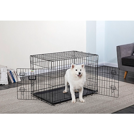 Go Pet Club 2-Door Metal Dog Crate with Divider, 36 in.