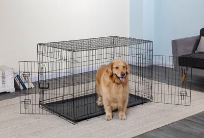 black metal dog kennel
