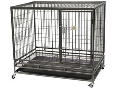 Go Pet Club Heavy-Duty 1-Door Metal Pet Crate, 37 in. Built solid and heavy, helps that this crate is on wheels