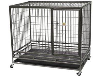 heavy duty metal dog cage