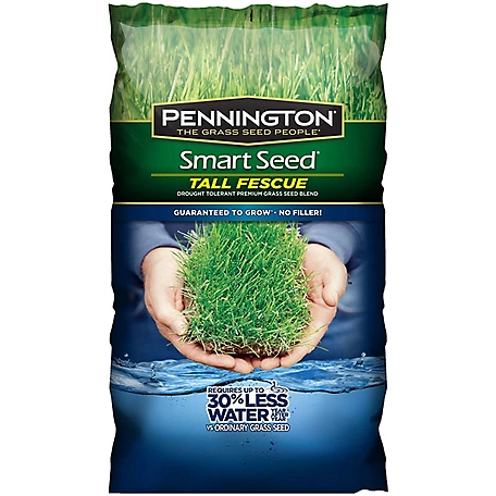 Pennington 24/20 lb. Smart Seed Tall Fescue Grass Seed Mix