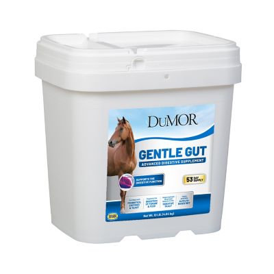 DuMOR Gentle Gut Advanced Digestive Pelleted Horse Supplement, 10 lb.