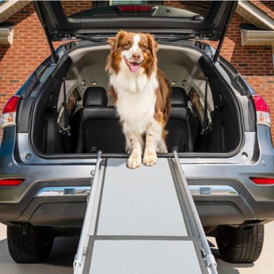 ramp for car for dogs