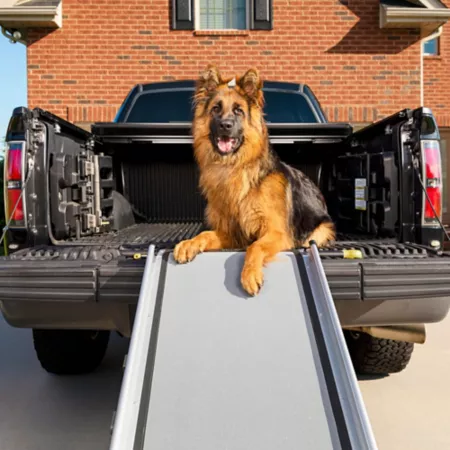 PetSafe Happy Ride Extra Long Telescoping Ramp for Dogs up to 300 lbs 47" - 87" Automotive Pet Steps & Ramps