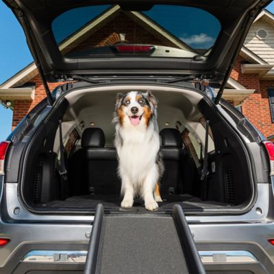 PetSafe Happy Ride Folding Dog Ramp