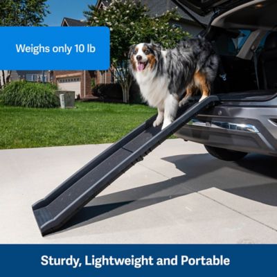 Image showing PetSafe Happy Ride Folding Dog Ramp for Dogs Up to 150 lb., 62 in.