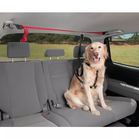 PetSafe Happy Ride Dog Zipline Pet Car Seat Harnesses & Seat Belts