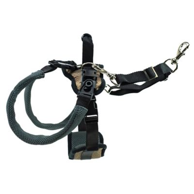 Image showing  Carelift Dog Lifting Aid Rear Only Harness
