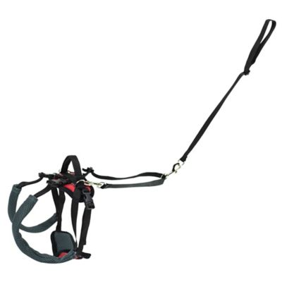 Image showing 7 th PetSafe Carelift Dog Lifting Aid Rear Only Harness