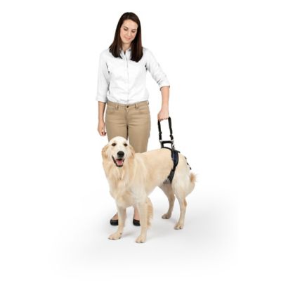 PetSafe Carelift Dog Lifting Aid, Rear Only Harness, 62365 at Tractor ...