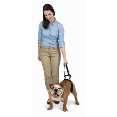 image of a Dog Handicap Support Harnesses