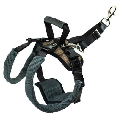 Image showing  Carelift Dog Lifting Aid Rear Only Harness