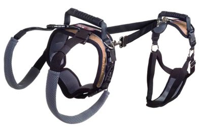 PetSafe Lifting Aid Full-Body Dog Harness I bought one of these for my Belgian Shepherd female who is 14