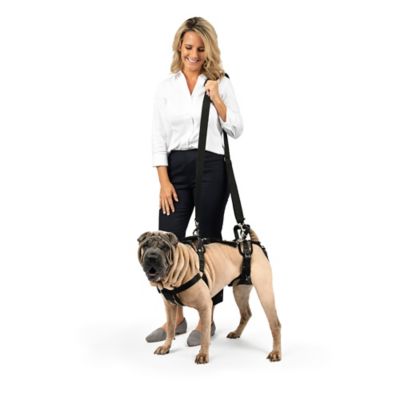 PetSafe Lifting Aid Full-Body Dog Harness